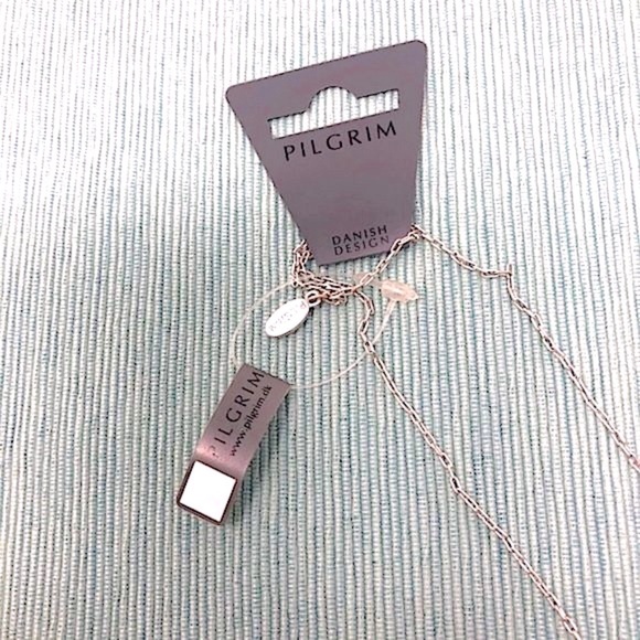 🌺 Pilgrim Danish Design Statement Opera Necklace NWT - Picture 2 of 4